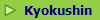 Kyokushin