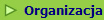 Organizacja